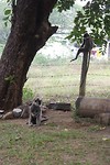 SAM_9684