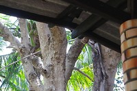 SAM_9661