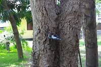 SAM_9648