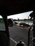 IMG_20190320_155429
