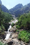 SAM_9998