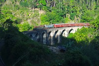 SAM_0011