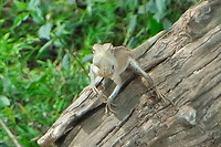 SAM_0377
