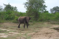 SAM_0368