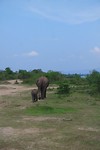 SAM_0352