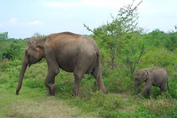 SAM_0345