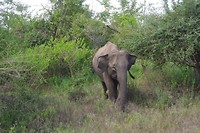 SAM_0301