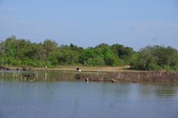 SAM_0271