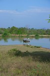 SAM_0255