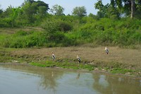 SAM_0230