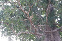 SAM_0200