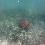 IMG_20190322_120808_576