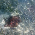 IMG_20190322_120808_577