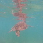 IMG_20190322_120808_580