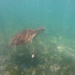 IMG_20190322_120808_578