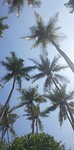 IMG_20190322_101640