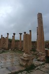 SAM_0979