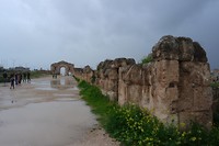 SAM_0970