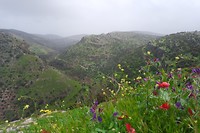 SAM_0958