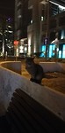 IMG_20190404_204055