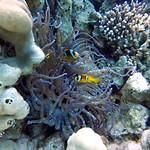 IMG_20190407_225039_697