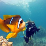 IMG_20190407_224823_300