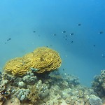 IMG_20190407_224823_302