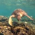 IMG_20200118_175824_398