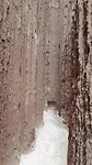 Cathedral Gorge SP
