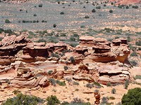 P1060952