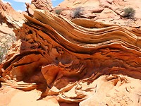 P1060974