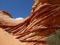 P1060981