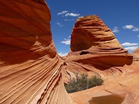 P1060988