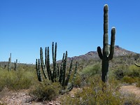 P1070136