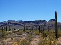 P1070137