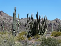 P1070138