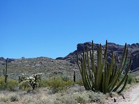 P1070145