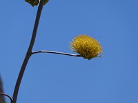 P1070150