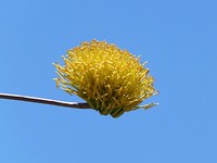 P1070151