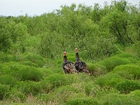 DSC02892