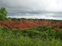 DSC02895