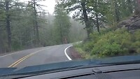 1000042786