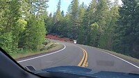 1000042784