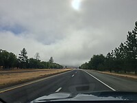 1000042948