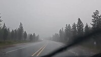 1000043047