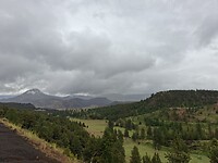 1000043627