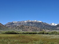 1000047341