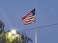 1000061523