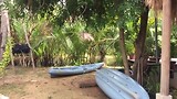 Kampot, Retro Guesthouse