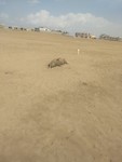 IMG_20190126_141954698